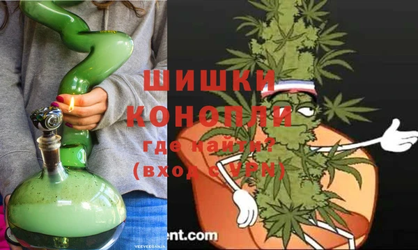 мет Инта