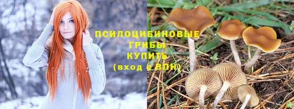 мет Инта