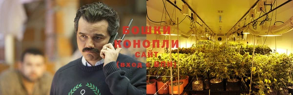 мет Инта