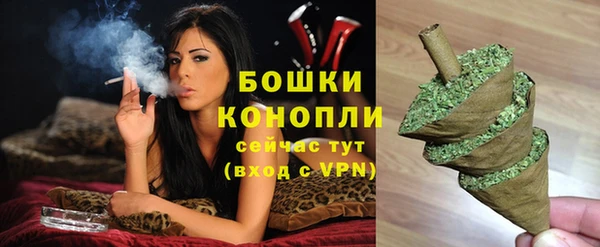 мет Инта