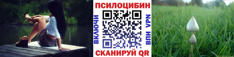 Купить где  Щёкино  Псилоцибиновые грибы Magic Shrooms 